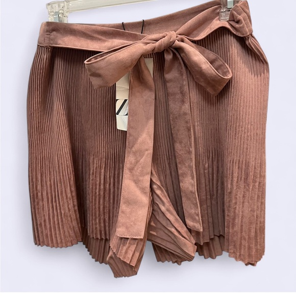 Zara Pants - NWT High Waisted Pink Pleated Shorts